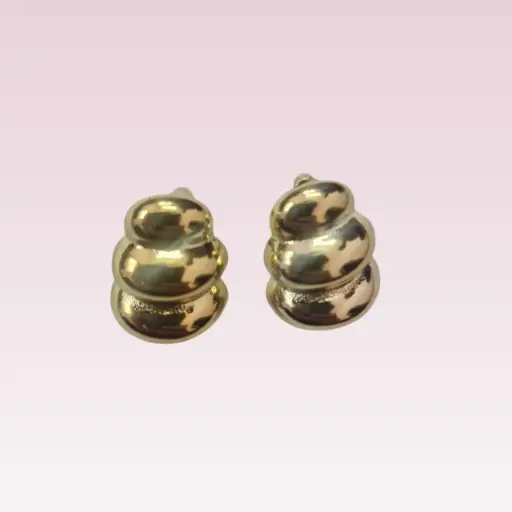 Elegant Hoop Golden Earrings